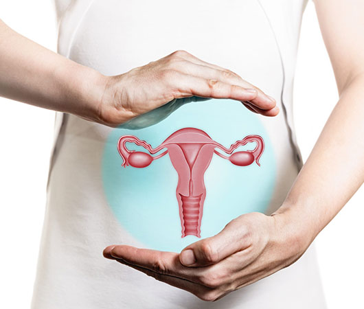What-is-the-cervix